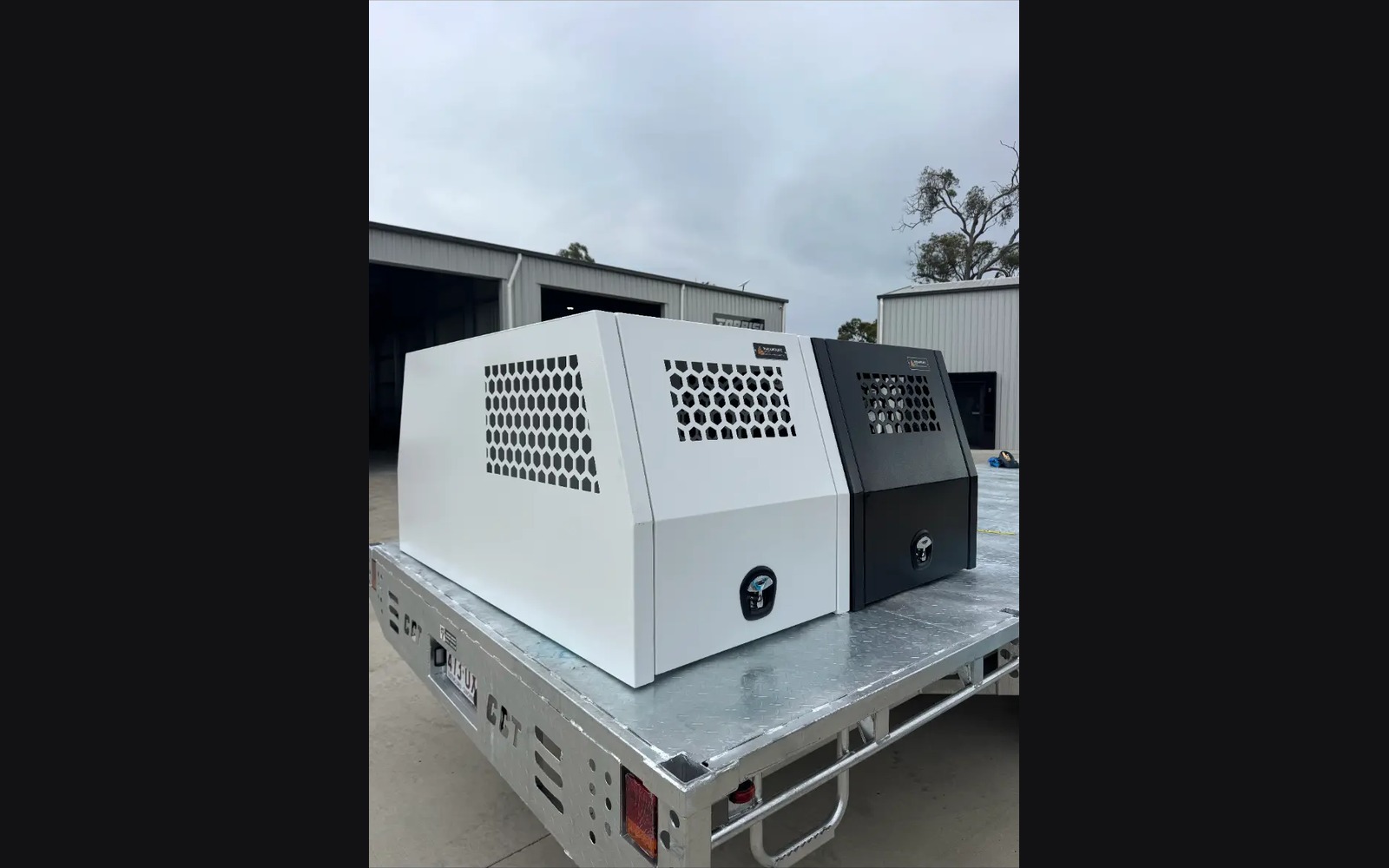 Dog Boxes